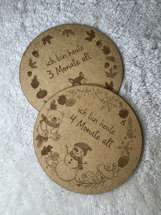 🍂 Winterzauber & Herbstgefühle: Meilensteinkarten für Babys (1-12 Monate einzeln)